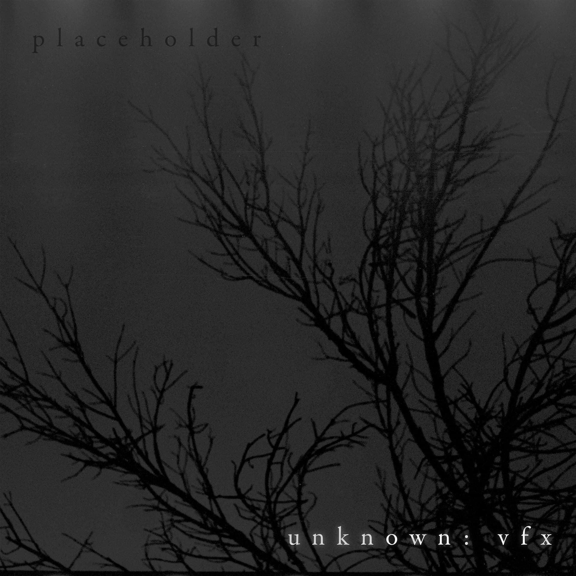 Portada Unknown: VFX